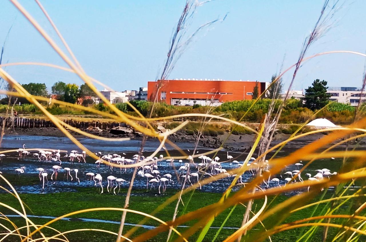 Aveiro, Ria E Arte Appartement Buitenkant foto